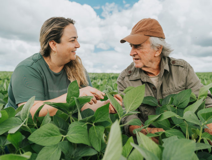two farmers inspecting crops in a field